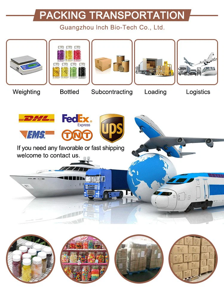 PACKING TRANSPORTATION PACKING TRANSPORTATION